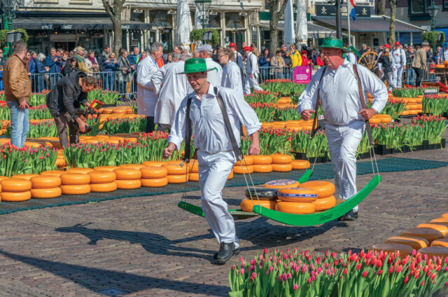 Typický sýrový trh Alkmaar, Holandsko