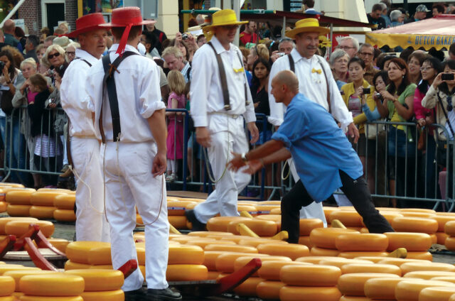 Tradiční sýrový trh v Alkmaaru, Holandsko