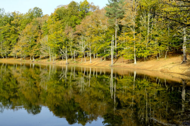 N.P. Foresta Umbra, Gargáno, Itálie