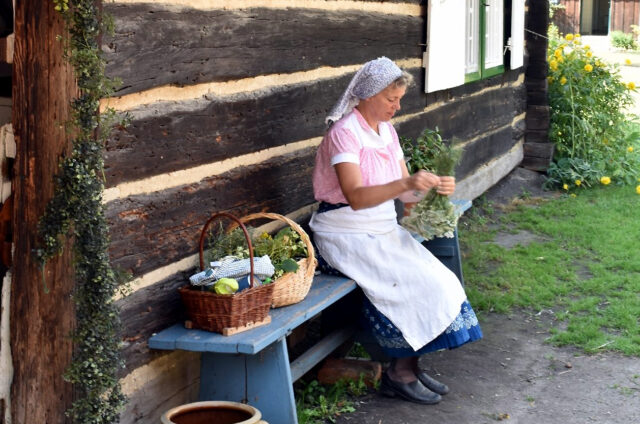 Skenzen Lehde, Německo