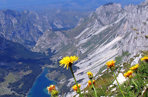 Náhledová Černá hora