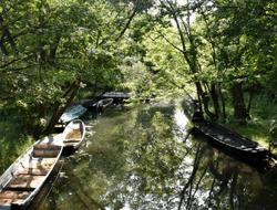 Mapa - 1341/SPREEWALD A LUŽICE NA KOLE A LOĎCE