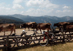 Mapa - 1441/KRÁSY ČERNÉ HORY NA KOLE