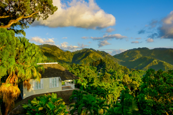 Blue Mountains, Jamajka