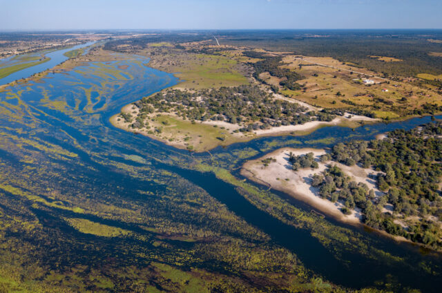 Delta řeky Okavango, Botswana