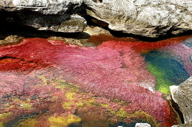 Divotvorná Caňo Cristales, Kolumbie