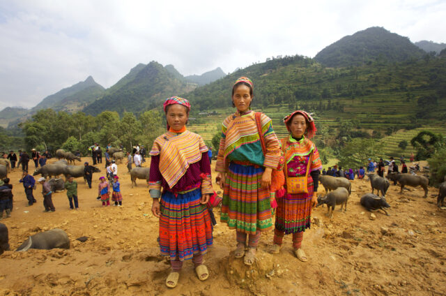 Horský lid Hmong, Vietnam