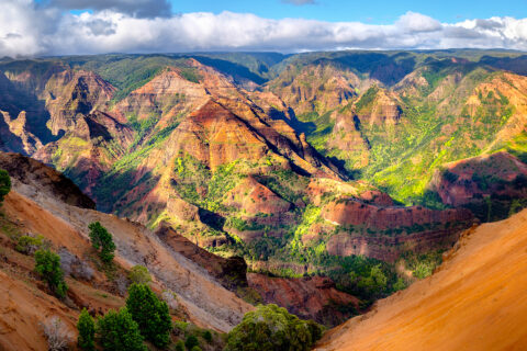 Panoramatický pohled na kaňon Waimea Canyon, Kauai, Hawaii, USA