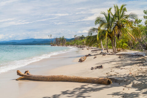 Pobřeží Karibiku, N.P.Cahuita, Kostarika