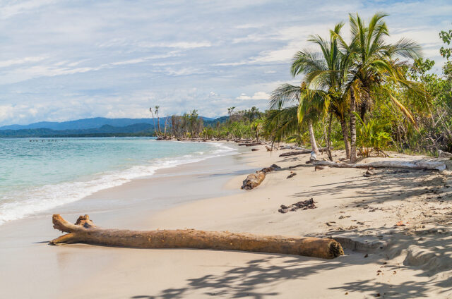 Pobřeží Karibiku, N.P.Cahuita, Kostarika