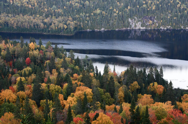 Podzimní scenérie v La Mauricie N.P., Kanada