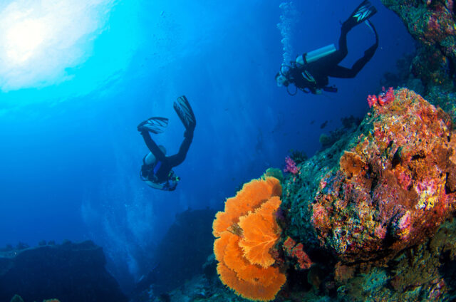 Potápění na Andamanech