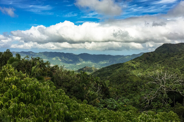 Prales a hory ve vnitrozemí, Portoriko