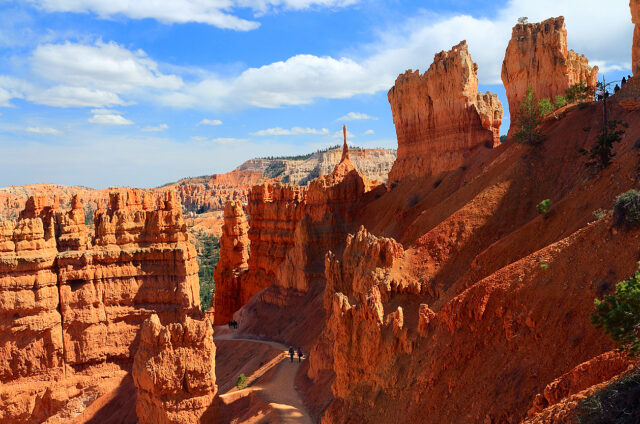 Pískovcové útvary v Bryce Canyon N.P., USA