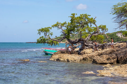 Treasure Beach, Jamajka
