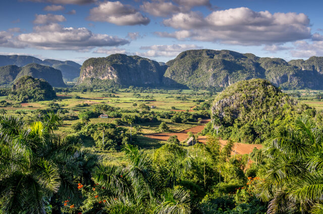 Vápencové útvary, NP Viňales, Kuba