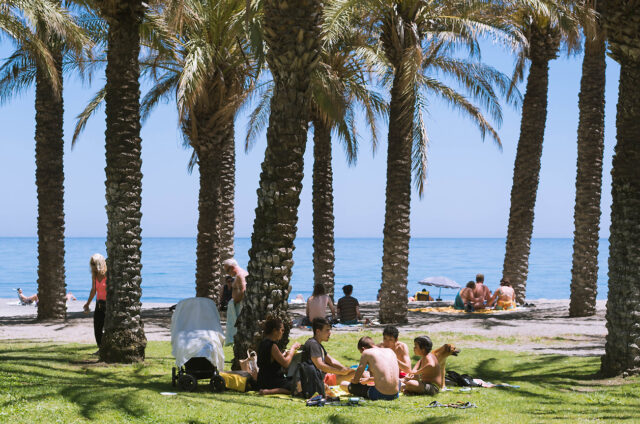 Palmové háje v Torremolinos