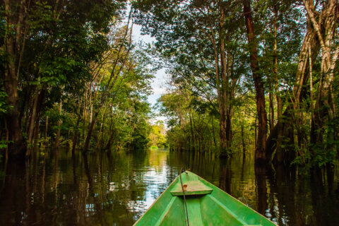 Řeka Amazonka, Manaus, Amazonie, Brazílie