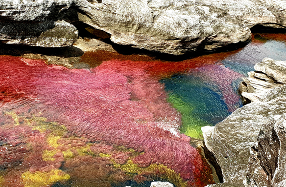 Divotvorná Caňo Cristales, Kolumbie