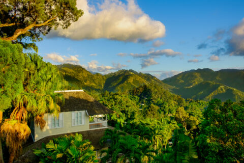 The Blue Mountains, Jamajka