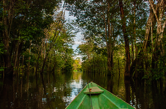 Řeka Amazonka, Manaus, Amazonie, Brazílie