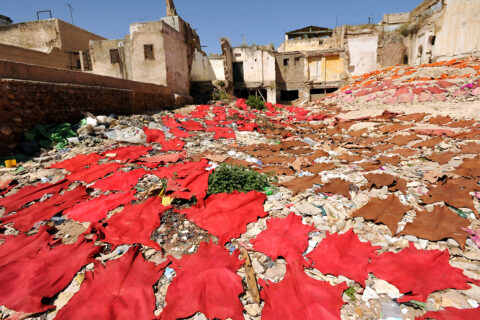 Barvírny kůží, Fés, Maroko