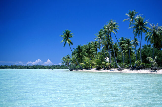 Bílá pláž, Ostrov Changu, Zanzibar