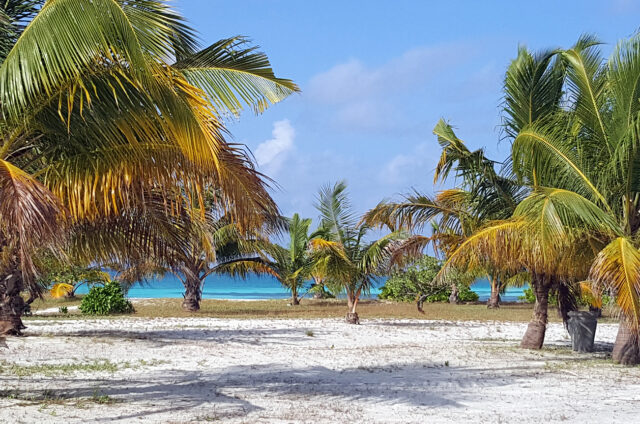 Bílé pláže ostrovů, Maledivy