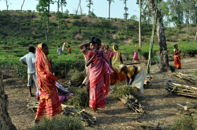 Běžné práce, Bangladéš