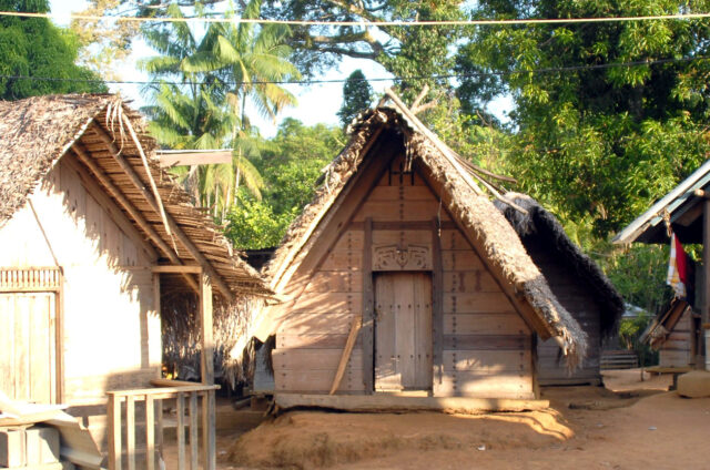 Chatky v N.P., Surinam