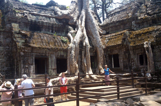 Chrám Ta Prohm, Kambodža