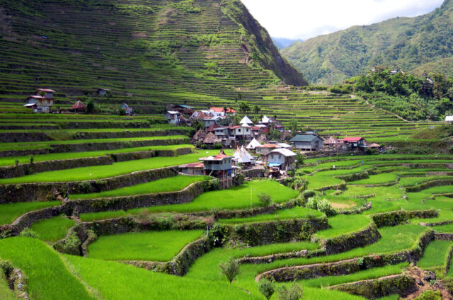 Rýžové terasy u Batadu, Luzon, Filipíny