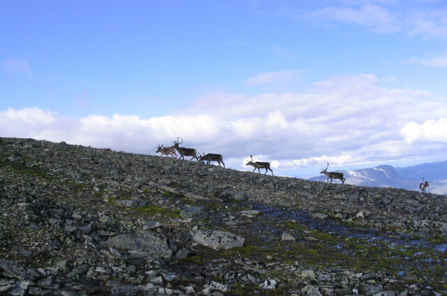 N.P. Jotunheimen, Norsko