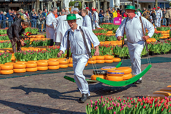 Sýrový trh, Alkmaar, Holandsko