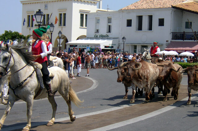 Plameňáci Saintes Maries d.l. Mer, Francie