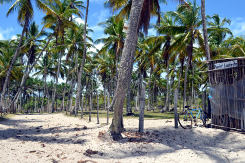 Pláž, Ostrov Boipeba, Brazílie