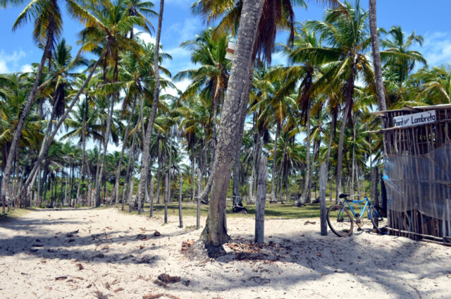 Pláž, Ostrov Boipeba, Brazílie