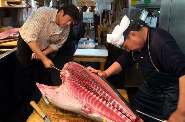 Porcování tuňáka, rybí trhy Tokio, Japonsko