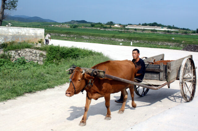 Původní zemědělství, KLDR