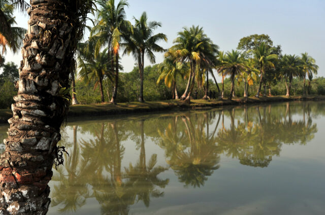 Spletí řek, Bangladéš