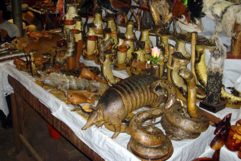 V městě Masaya, Nikaragua