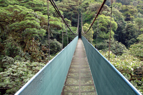 V rezervaci Monteverde, Kostarika