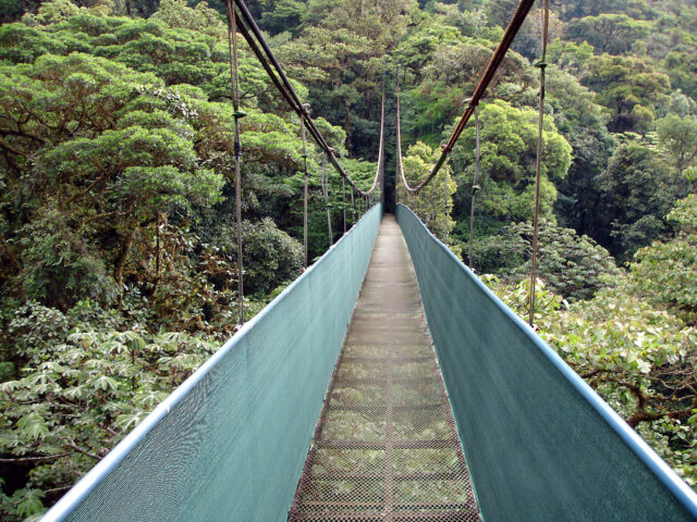 V rezervaci Monteverde, Kostarika