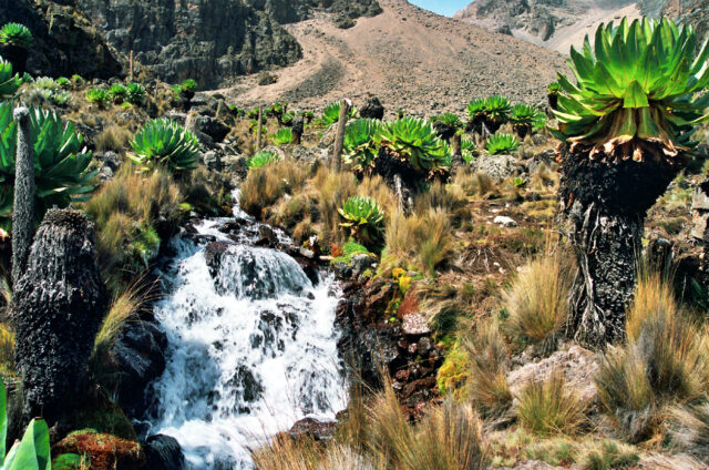 Vodopády na cestě na Mt. Keňa, Keňa.