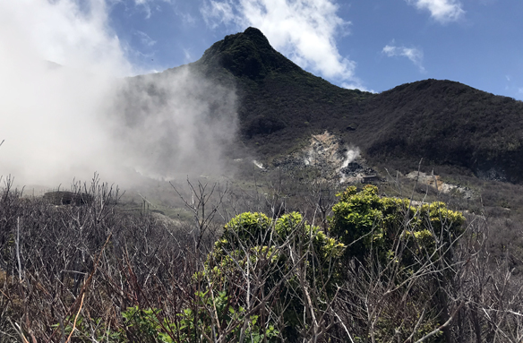 Hakone-Izu, Japonsko