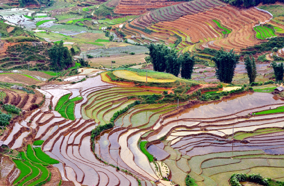 Rýžové terasy Sa-Pa, Vietnam