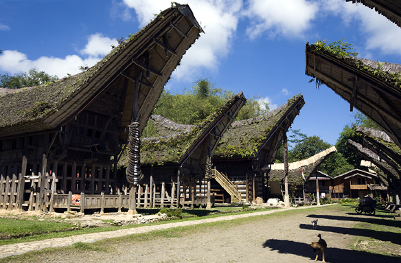 Tradiční domy Tong-konany, Sulawesi