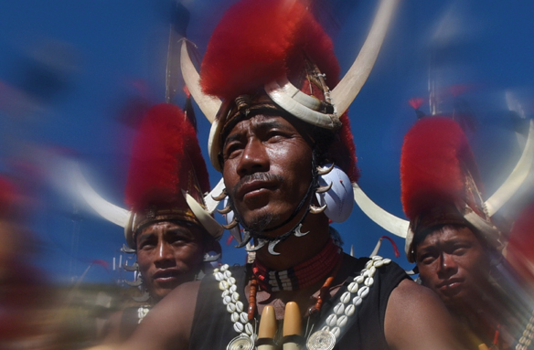 Festival-Hornbill, Nágsko