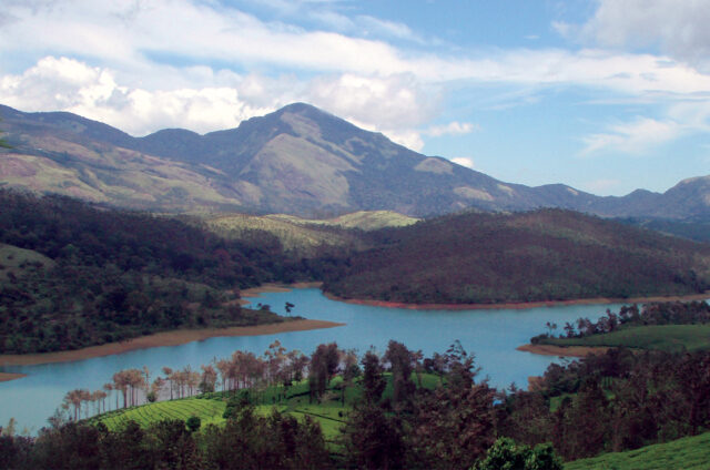 Čajové plantáže, Munnar, Indie