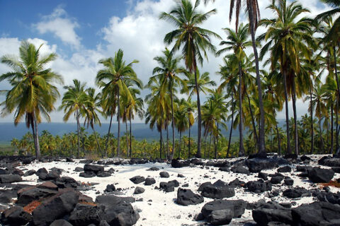 Černé lávové pláže, Maui